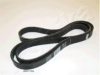 NISSA 1195000QAA V-Ribbed Belts